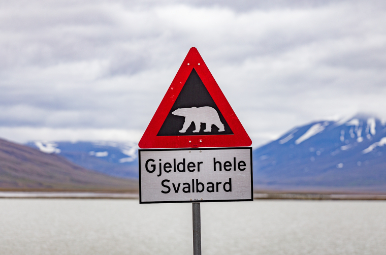 Konec bezpečné zóny v Longyearbyenu. Za touto cedulí hrozí riziko napadení medvěděm.